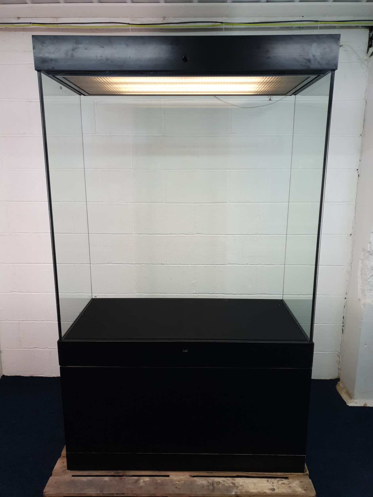 Image of Museum Grade Secured Showcase Laminated Glass Display Cabinet