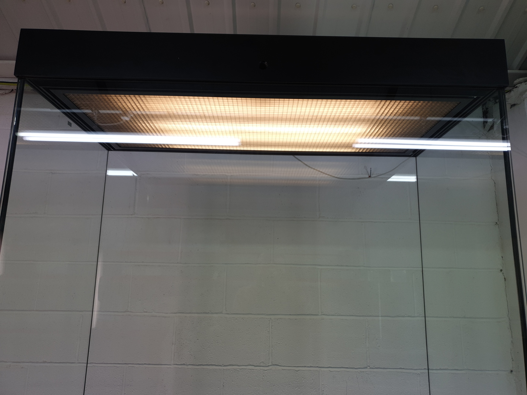 Image of Museum Grade Secured Showcase Laminated Glass Display Cabinet