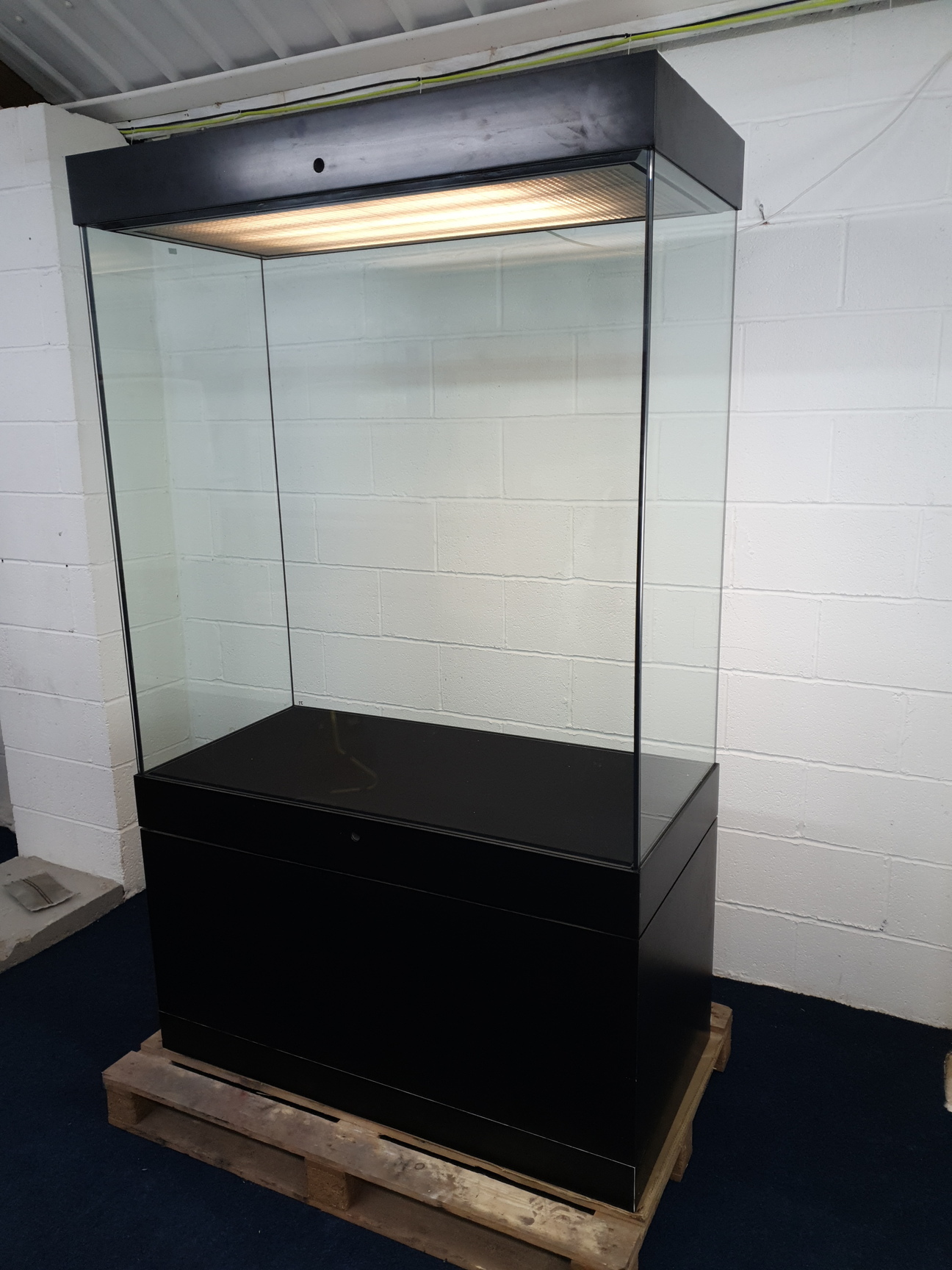 Image of Museum Grade Secured Showcase Laminated Glass Display Cabinet