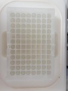 Thumbnail image of Waters 24 Well Insertion Plate Waters 405000560 Plate 24 Well 1.5mL Tubes Lab