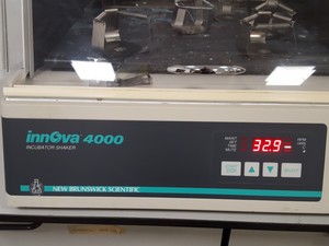 Thumbnail image of New Brunswick Innova 4000 Incubator Shaker Lab Equipment