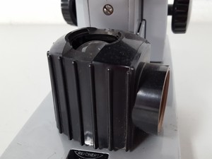 Thumbnail image of Reichert Binocular Microscope Lab + 4 Objectives Oel 100/1.25, Meiji 40