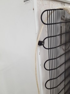 Image of item