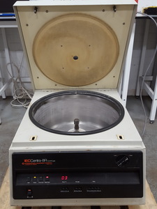 Image of item