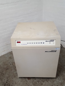 Image of item