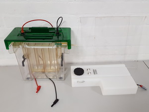 Thumbnail image of Bio-Rad Protean II xi Cell Vertical Gel Electrophoresis System Lab