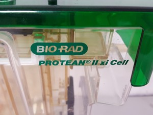 Thumbnail image of Bio-Rad Protean II xi Cell Vertical Gel Electrophoresis System Lab