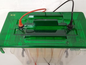 Thumbnail image of Bio-Rad Protean II xi Cell Vertical Gel Electrophoresis System Lab