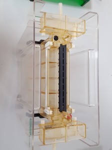 Thumbnail image of Bio-Rad Protean II xi Cell Vertical Gel Electrophoresis System Lab