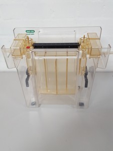 Thumbnail image of Bio-Rad Protean II xi Cell Vertical Gel Electrophoresis System Lab