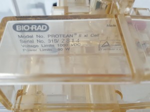 Thumbnail image of Bio-Rad Protean II xi Cell Vertical Gel Electrophoresis System Lab