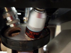 Thumbnail image of Nikon Diaphot Phase Contrast Microscope Xenon XPS-100 + 3 Objectives PH1 PH2 PH3
