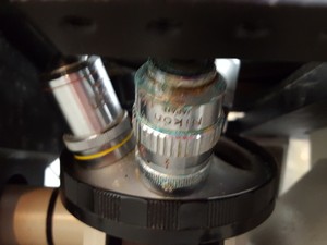 Thumbnail image of Nikon Diaphot Phase Contrast Microscope Xenon XPS-100 + 3 Objectives PH1 PH2 PH3