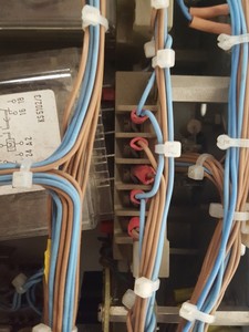 Thumbnail image of Item for Rene Koper