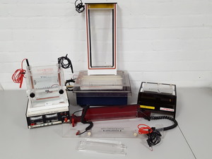 Image of item