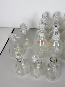 Image of item