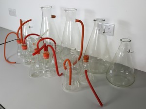 Thumbnail image of 16x Buchner Flasks Lab Various Sizes 5L, 4L, 2L, 500mL Glassware 