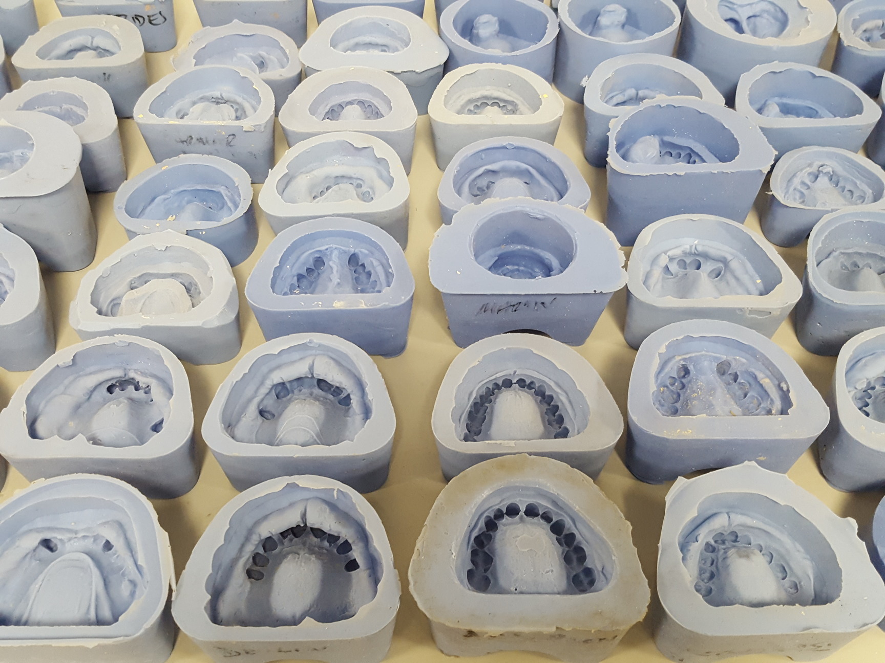 73x Silicon Dental Impression Teeth Molds