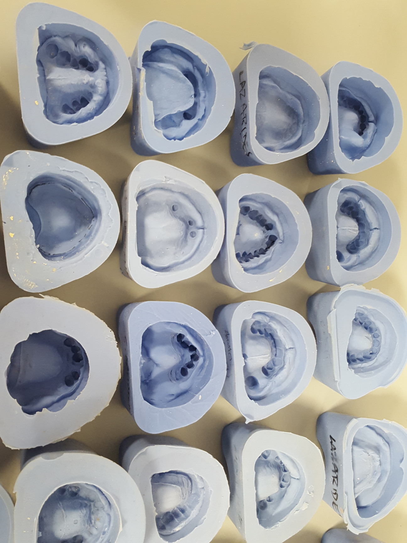 73x Silicon Dental Impression Teeth Molds