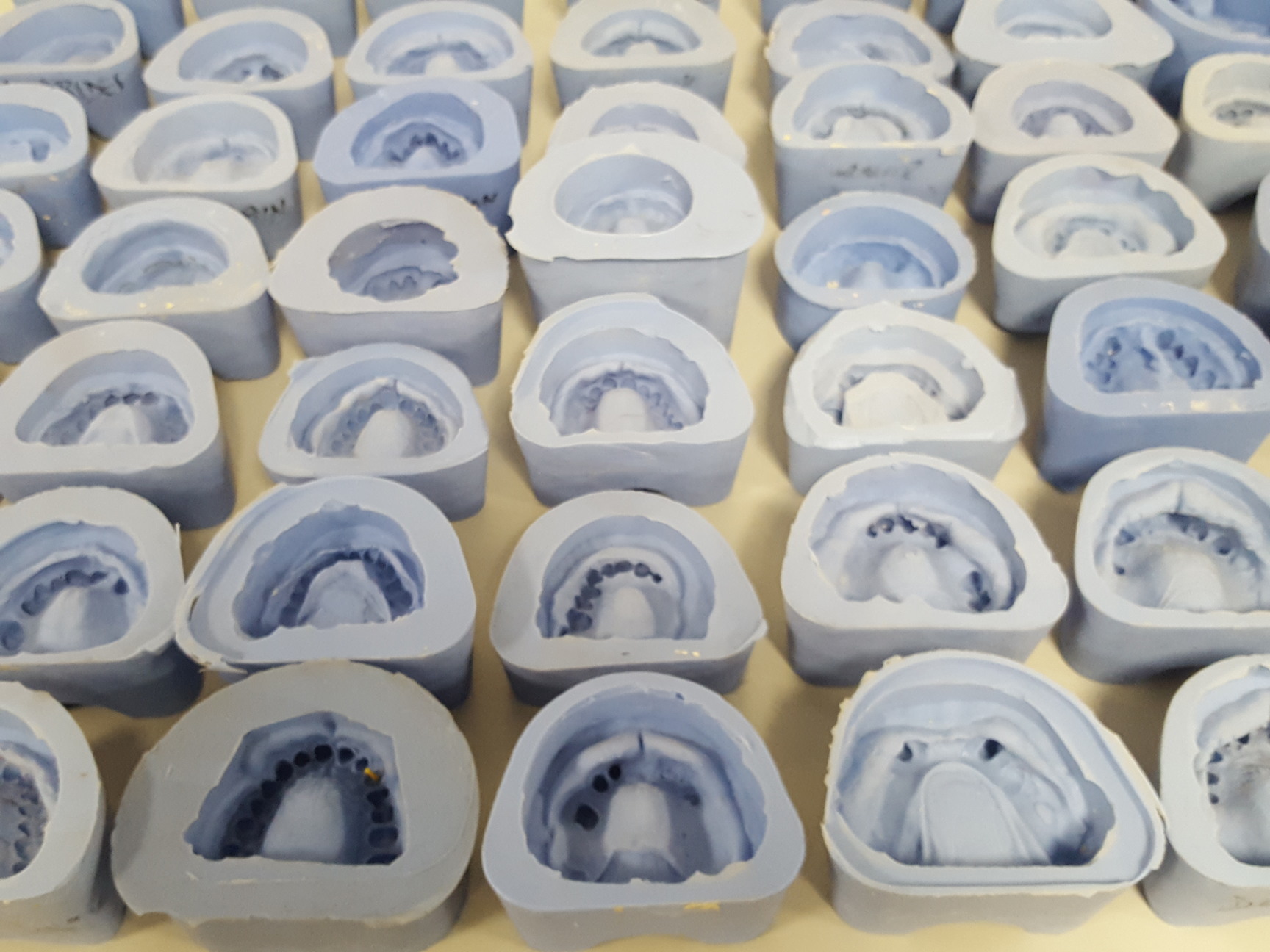 73x Silicon Dental Impression Teeth Molds Moulds Lab