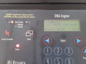 Thumbnail image of MJ Research PTC-200 Peltier Thermal Cycler PCR DNA Lab