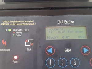 Thumbnail image of MJ Research PTC-200 Peltier Thermal Cycler PCR DNA Lab