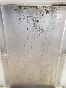 Thumbnail image of Flowgen Gel Electrophoresis Cell Unit Lab