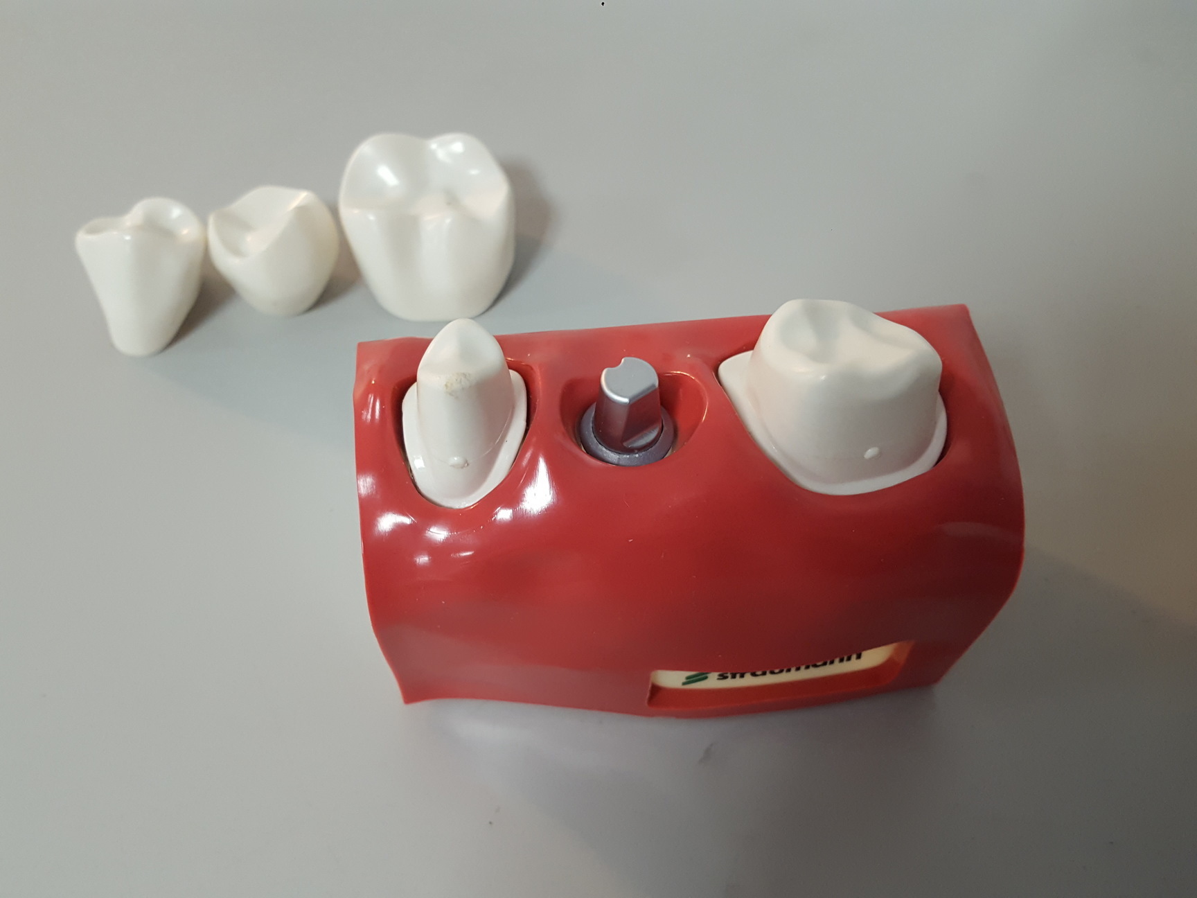 straumann-dental-illustration-model-dentist-implant-training-student-lab