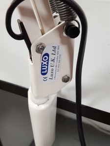Thumbnail image of Luxo Model T88 Flexible-Arm Desk Lamp Light