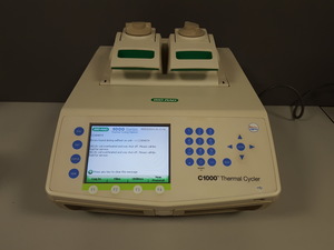 Image of item