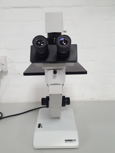 Image of item