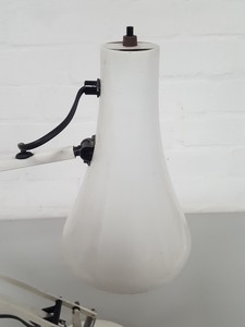 Thumbnail image of Anglepoise White Flexible-Arm Office Desk Lamp - Upcycle