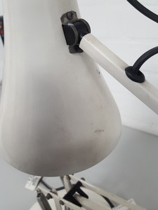Thumbnail image of Anglepoise Cream/White Flexible-Arm Office Desk Lamp - Upcycle