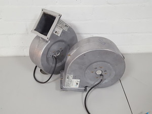 Image of item