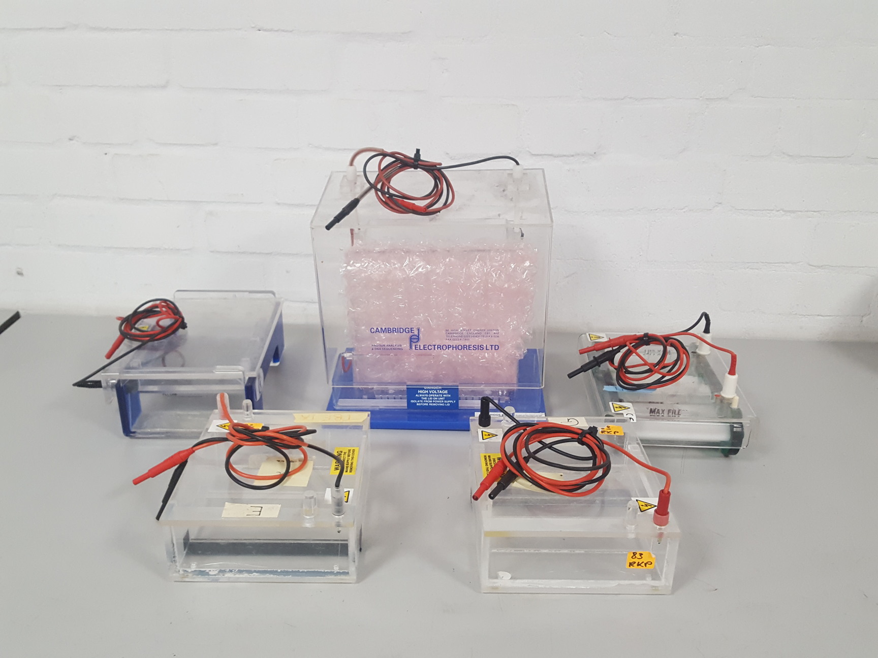 Image of 5x Gel Electrophoresis Gel / Transfer Tanks Cambridge Electrophoresis, SLS Lab