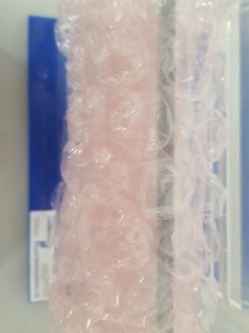 Thumbnail image of 5x Gel Electrophoresis Gel / Transfer Tanks Cambridge Electrophoresis, SLS Lab