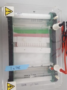 Thumbnail image of 5x Gel Electrophoresis Gel / Transfer Tanks Cambridge Electrophoresis, SLS Lab