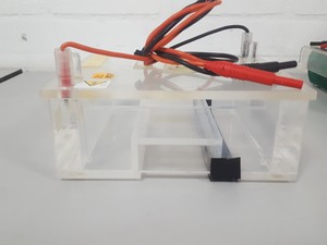 Thumbnail image of 5x Gel Electrophoresis Gel / Transfer Tanks Cambridge Electrophoresis, SLS Lab