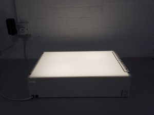 Image of item