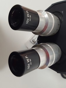 Thumbnail image of Reichert-Jung Microstar Microscope Dual Viewing Head, AO Illuminator Model 1130B