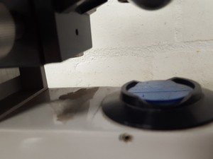 Thumbnail image of Reichert-Jung Microstar Microscope Dual Viewing Head, AO Illuminator Model 1130B