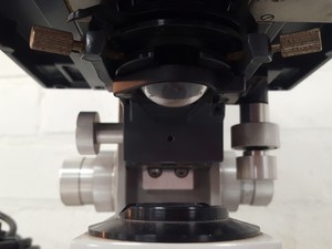 Thumbnail image of Reichert-Jung Microstar Microscope Dual Viewing Head, AO Illuminator Model 1130B
