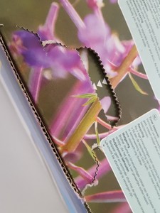 Thumbnail image of Brother TN-320Y Yellow Toner Cartridge Printer Ink