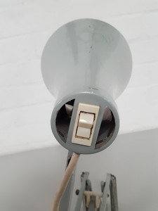 Thumbnail image of Anglepoise Flexible-Arm Table Lamp (Green/Grey Color)