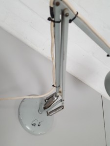 Thumbnail image of Anglepoise Flexible-Arm Table Lamp (Green/Grey Color)