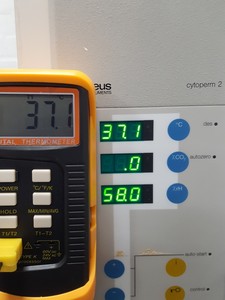 Thumbnail image of Kendro Heraeus Cytoperm 2 CO2 Incubator Lab