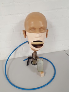 Thumbnail image of KaVo EWL Dental Patient Head Simulator & Desk Mount Lab Training