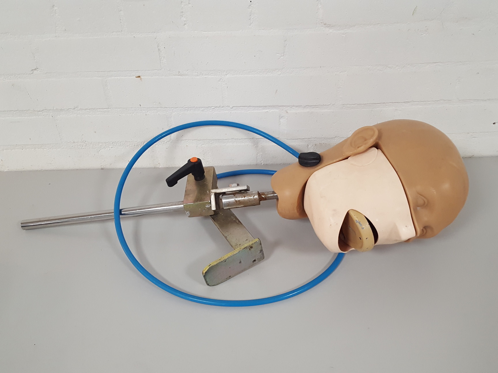 Image of KaVo EWL Dental Patient Head Simulator & Desk Mount Lab Training
