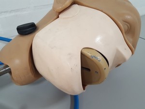 Thumbnail image of KaVo EWL Dental Patient Head Simulator & Desk Mount Lab Training
