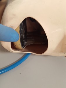 Thumbnail image of KaVo EWL Dental Patient Head Simulator & Desk Mount Lab Training
